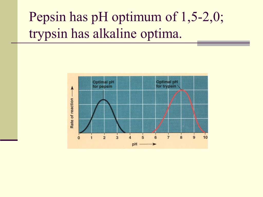 Pepsin has pH optimum of 1,5-2,0; trypsin has alkaline optima.